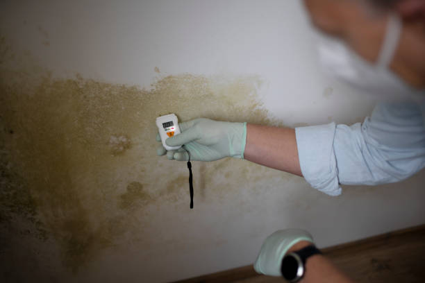 Best Post-Remediation Services in Apple Mountain Lake, VA