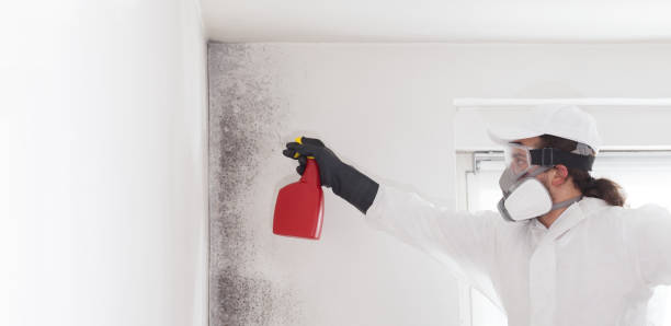 Best Residential Mold Remediation in Apple Mountain Lake, VA